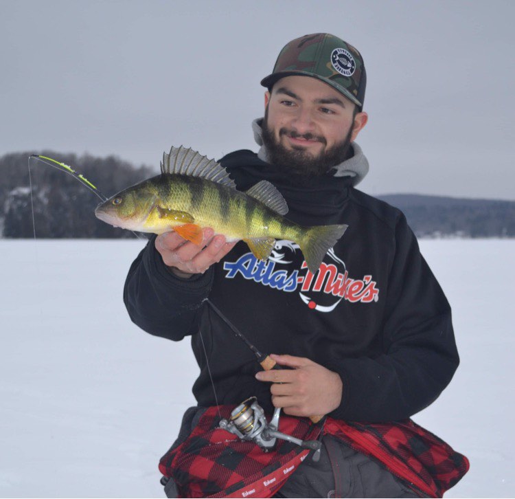 La perchaude, un poisson bien aimé de l’hiver